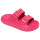 D' Franklin Bloomer Bio